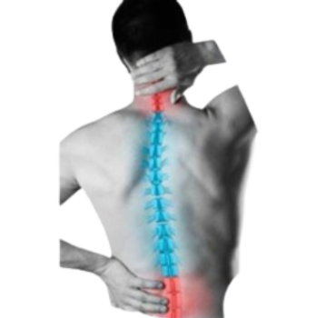 <a href="/treatment/spinal-pain/">કરોડરજ્જુનો દુખાવો (Spine Pain)</a>